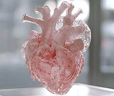 National American Heart Month